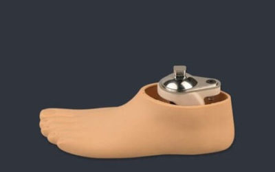Foot/Partial Foot/Toe Prosthesis